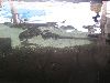 PICT0011.JPG